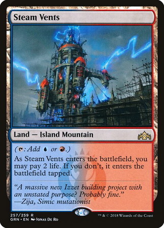 (GRN)Steam Vents(F)/蒸気孔