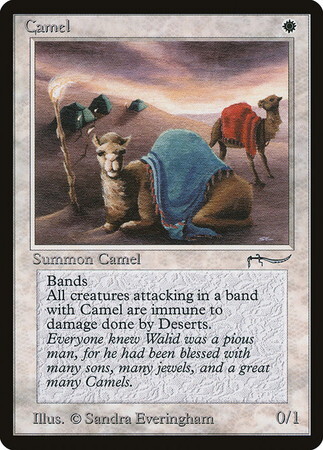 (ARN)Camel/(未訳)