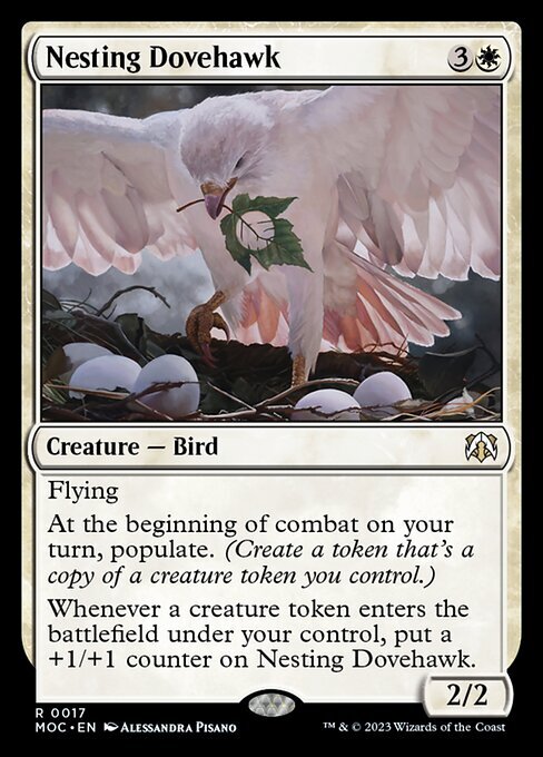 (MOC)Nesting Dovehawk/巣ごもりの鳩鷹