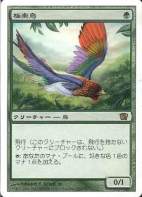 (8ED)極楽鳥(F)/BIRDS OF PARADISE