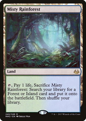 (MM3)Misty Rainforest(F)/霧深い雨林