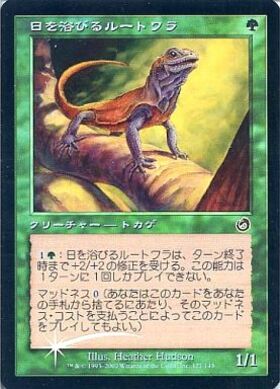 TOR)日を浴びるルートワラ(F)/BASKING ROOTWALLA | (FOIL)コモン 