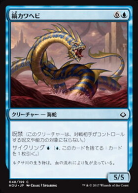 (HOU)縞カワヘビ(F)/STRIPED RIVERWINDER