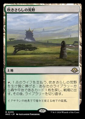 ZNE)吹きさらしの荒野/WINDSWEPT HEATH | 神話レア・レア | ドラゴン