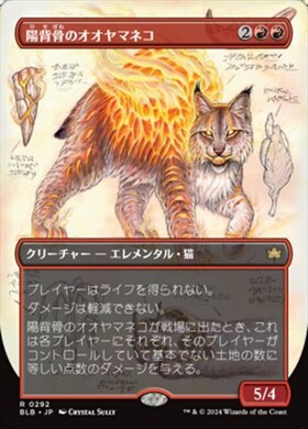 (BLB)陽背骨のオオヤマネコ(0292)(ボーダーレス)(実地調査)(F)/SUNSPINE LYNX