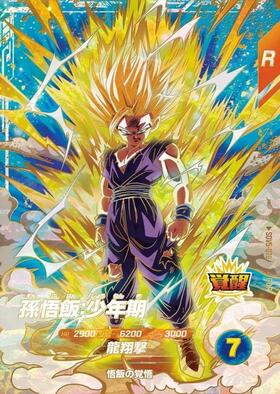 孫悟飯:少年期(SDVTP-005) | PR | ドラゴンスター ネット買取