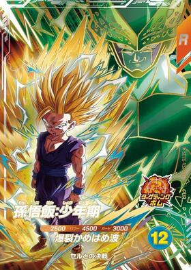 孫悟飯:少年期(SDVTP-005) | PR | ドラゴンスター ネット買取
